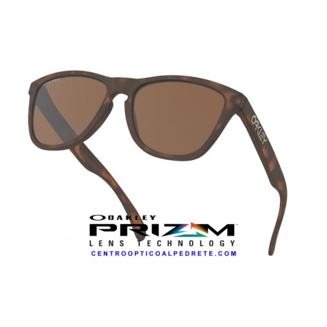 Frogskins Matte Tortoise / Prizm Tungsten (OO9013-C5)