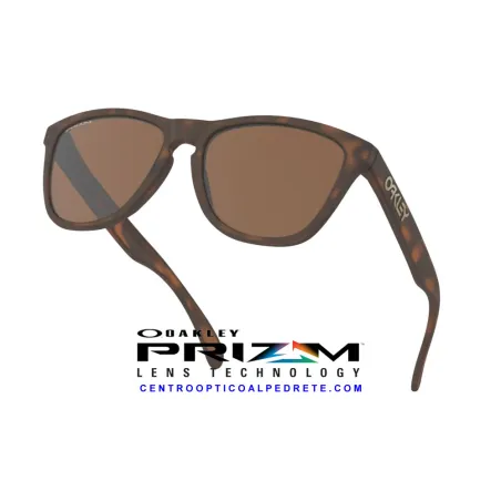 Frogskins Matte Tortoise / Prizm Tungsten (OO9013-C5)
