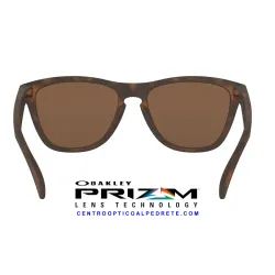 Frogskins Matte Tortoise / Prizm Tungsten (OO9013-C5)