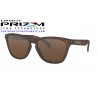 Frogskins Matte Tortoise / Prizm Tungsten (OO9013-C5)