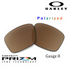 Garage Rock Lente Ice Iridium (OO9175-14L)