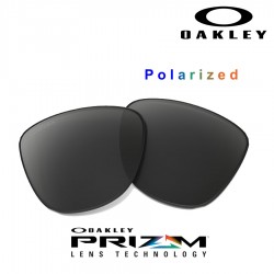 Frogskins Lente Prizm Black Polarized