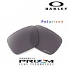 StraightLink Lente Prizm Daily Polarized