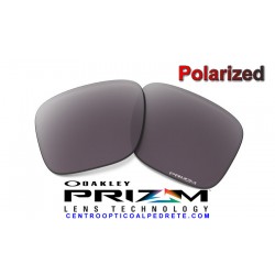 Gascan Lente Prizm Black Polarized (600-203-026)
