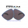 Frogskins Lente Prizm Black (OO9013-C4L)