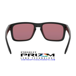 Holbrook Matte Black / Prizm Dark Golf (OO9102-K0)