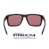 Holbrook Matte Black / Prizm Dark Golf (OO9102-K0)