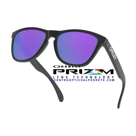 Frogskins Matte Black / Prizm Violet (OO9013-H6)