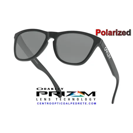 Frogskins Matte Black / Prizm Black Polarized (OO9013-F7)