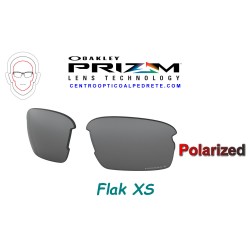 Flak XS Lente Prizm Black Polarized (102-992-004)