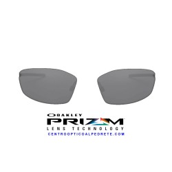 Whisker Lente Prizm Black (OO4141-01L)