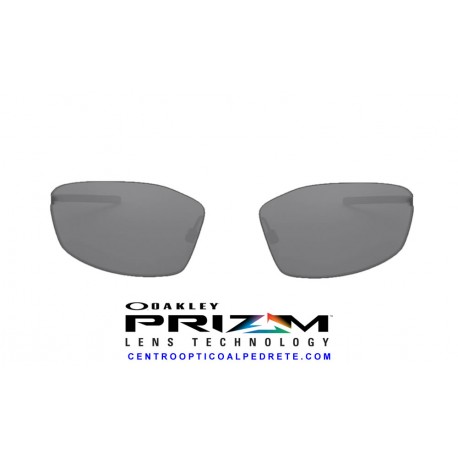 Whisker Lente Prizm Black (OO4141-01L)