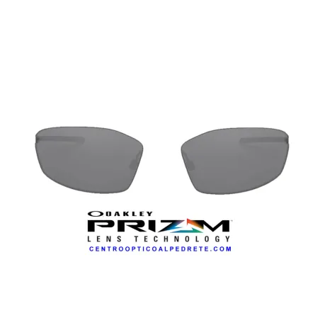 Whisker Lente Prizm Black (OO4141-01L)