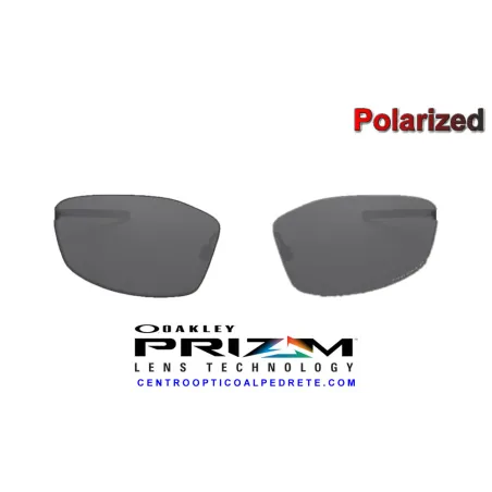 Whisker Lens Prizm Black Polarized (OO4141-03L)