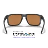 Holbrook XL Matte Black / Prizm Violet (OO9417-20)
