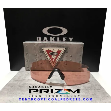 M Frame 2.0 Ballistic Strike Lente Prizm TR45 (101-285-006)