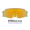 Kato Polished Black / Prizm 24k (OO9455-02)