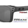 Holbrook XL Steel/ Prizm Black Polarized (OO9417-30)