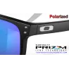 Holbrook Matte Black / Prizm Sapphire Polarized (OO9102-F0)