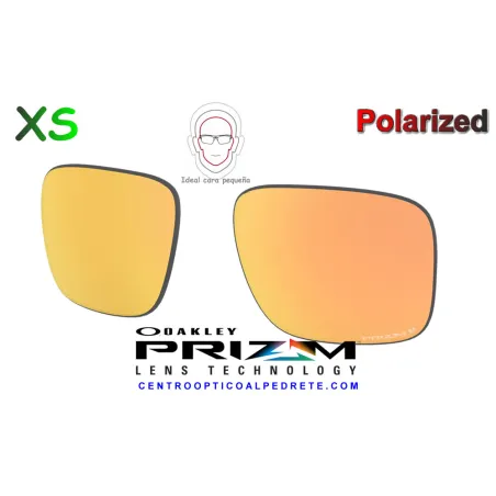 Holbrook XS Lens Prizm Rose Gold Polarized (OJ9007-RC007)