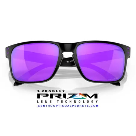 Holbrook Matte Black / Prizm Violet (OO9102-K6)