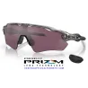 Radar EV Path Grey Ink / Prizm Road Black (OO9208-82)