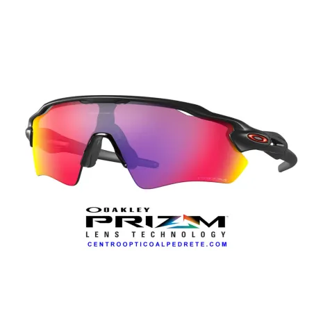 Radar EV Path Matte Black / Prizm Road (OO9208-46)