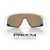 Bxtr Mate Desert / Prizm Ruby (OO9280-04)