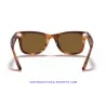 Ray-Ban WayFarer Classic Black / Crystal Brown (RB2140-954)