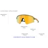 Sutro Lite Matte White / Prizm Ruby (OO9463-18)