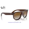 Ray-Ban BoyFriend Reverse Transparent Brown / Brown Gradient (RBR0501S-6709CB)