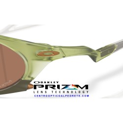 Plantaris Matte Transparent Fern / Prizm Tungsten (OO9437-03)