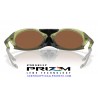 Plantaris Matte Transparent Fern / Prizm Tungsten (OO9437-03)