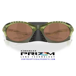 Plantaris Matte Transparent Fern / Prizm Tungsten (OO9437-03)