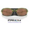 Plantaris Matte Transparent Fern / Prizm Tungsten (OO9437-03)
