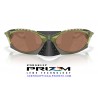 Plantaris Matte Transparent Fern / Prizm Tungsten (OO9437-03)