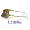 Plantaris Matte Transparent Fern / Prizm Tungsten (OO9437-03)