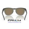 Frogskins Range Matte Grey Smoke - Ink / Prizm Ruby (OO9284-01)