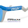 Frogskins Hybrid Primary Blue - Cool Grey / Prizm Sapphire (OO9289-03)