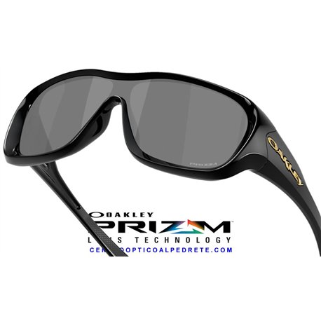 De la Salle Polished Black / Prizm Black (OO9493-01)