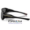 De la Salle Polished Black / Prizm Black (OO9493-01)