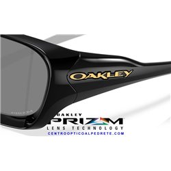 De la Salle Polished Black / Prizm Black (OO9493-01)