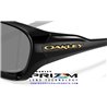 De la Salle Polished Black / Prizm Black (OO9493-01)