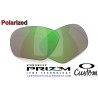 Lateralis Lentes de Repuesto Prizm Shallow Polarized (OO9431LS-000007)