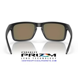 Holbrook Matte Black / Prizm Ruby OO9102-E2