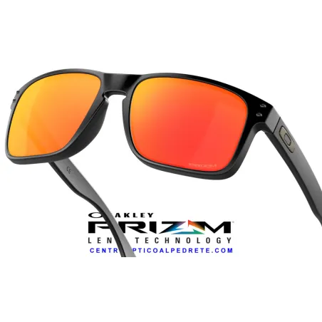 Holbrook Matte Black / Prizm Ruby OO9102-E2