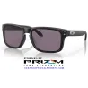 Holbrook Matte Black / Prizm Grey (OO9102-E8)