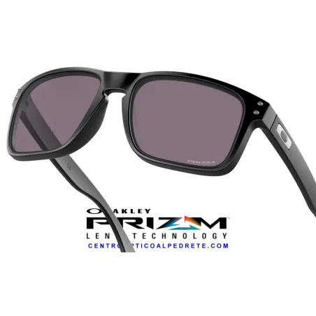 Holbrook Matte Black / Prizm Grey (OO9102-E8)