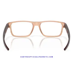 Port Bow Polished Transparent Sepia (OX8164-07)