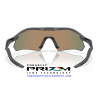 Radar Plate Matte Carbon / Prizm Ruby (OO9495D-03)